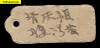 囓齒類頭骨藏品圖，第8張